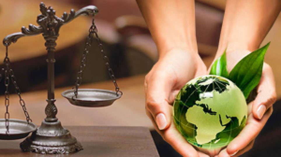 ambiental-thegem-blog-default-large ambiental-thegem-blog-default-large